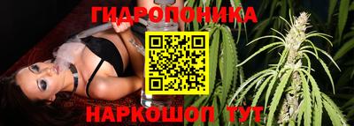 гашик Гусь-Хрустальный