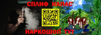 гашик Гусь-Хрустальный
