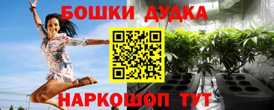 гашик Гусь-Хрустальный