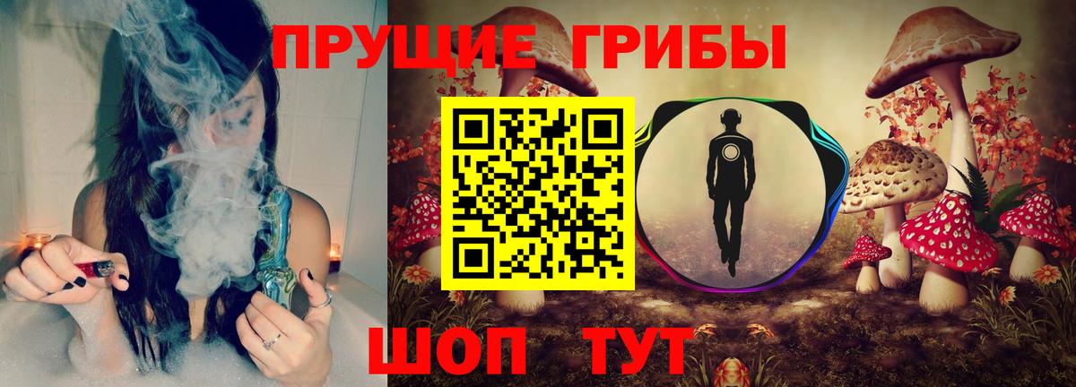 Псилоцибиновые грибы прущие грибы  Псилоцибиновые грибы Cubensis  Вход с VPN  Медногорск 